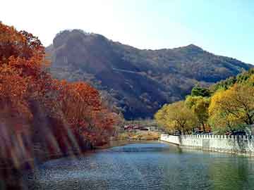 新奧最快最準(zhǔn)免費(fèi)資料，探索與解析，新奧最快最準(zhǔn)免費(fèi)資料，全面探索與深度解析