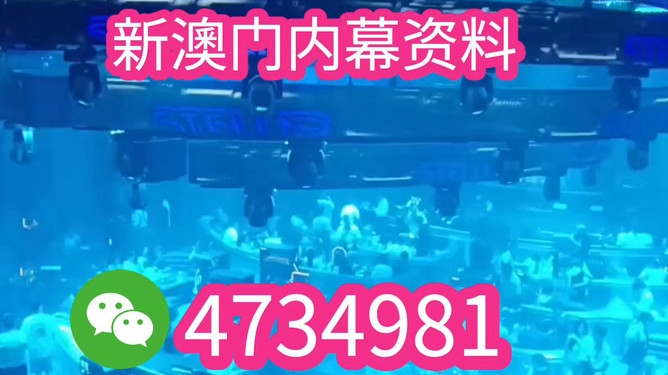 澳門特馬開獎結果，探索與預測（2025年特馬開獎展望），澳門特馬開獎展望，探索與預測（2025年特馬開獎結果揭秘）
