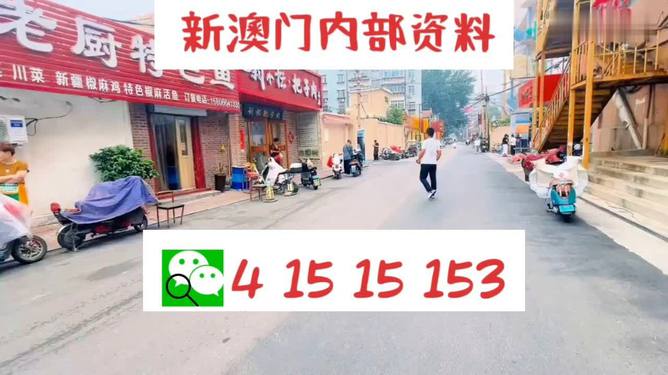 新澳門新氣象，探索澳門天天開好彩背后的故事與未來展望（2025年），澳門新氣象展望，揭秘天天開好彩背后的故事與未來趨勢（至2025年）