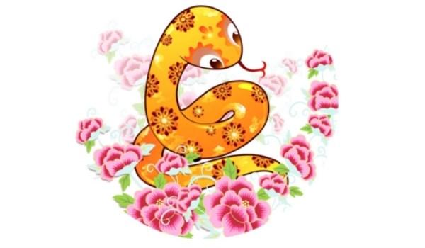 揭秘精準(zhǔn)四生肖，探尋數(shù)字組合77777與88888背后的神秘面紗，揭秘四生肖數(shù)字組合背后的神秘面紗，探尋數(shù)字組合77777與88888的奧秘
