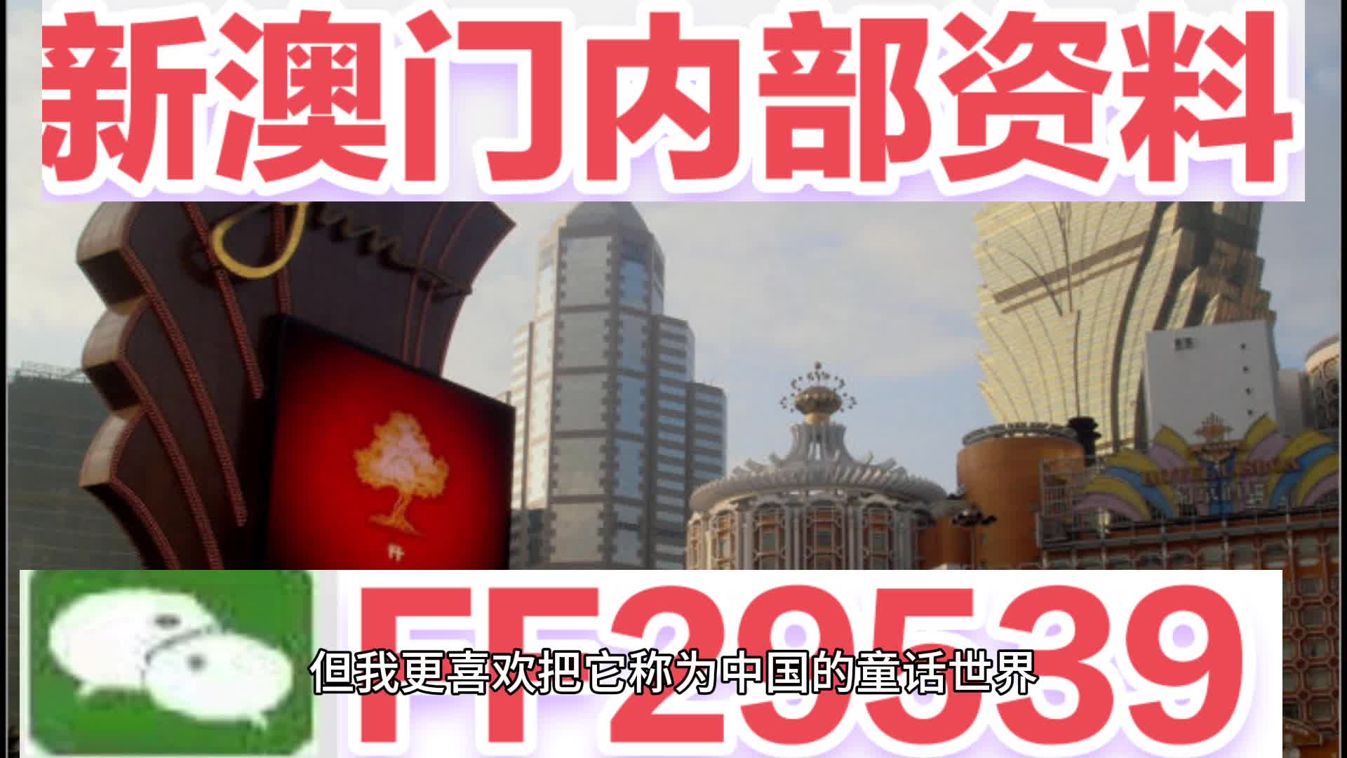 澳門六肖中特馬，探索與揭秘，澳門六肖中特馬，揭秘與探索之旅