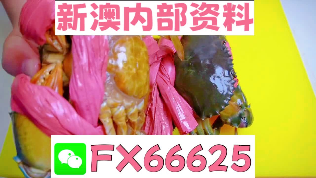 新澳資料免費精準期期準，探索與解析，新澳資料免費精準探索與解析指南