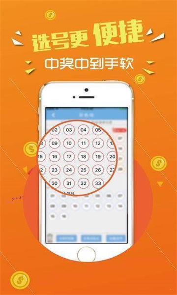 王中王心水與王中王論壇，探索智慧與交流的舞臺，王中王心水與王中王論壇，智慧交流之舞臺