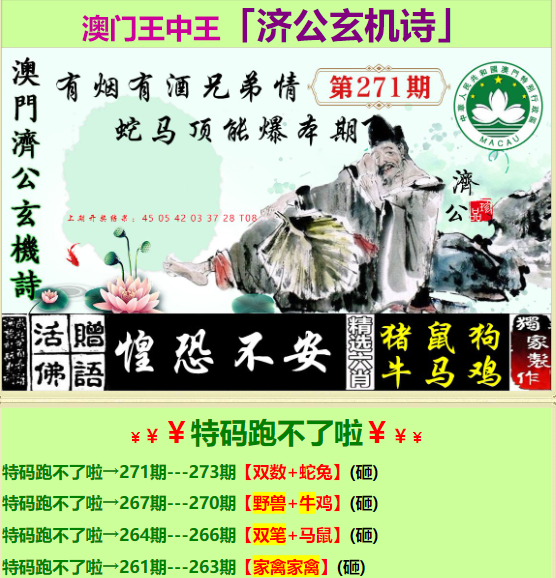 探索王中王，數字背后的故事與最新動態，揭秘王中王，數字背后的故事與最新進展