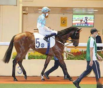 香港賽馬，77777與88888的魅力對決，香港賽馬，77777與88888的對決之夜