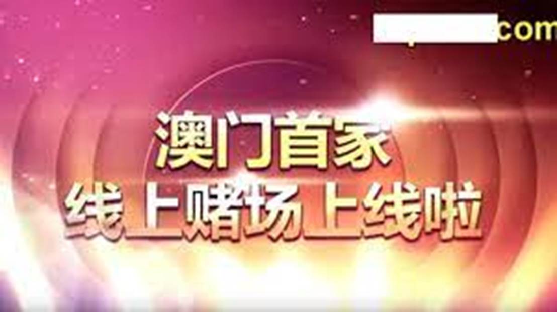 新澳門天天免費謎語下一期，探索與期待，澳門免費謎語探索之旅，下一期的期待與揭秘