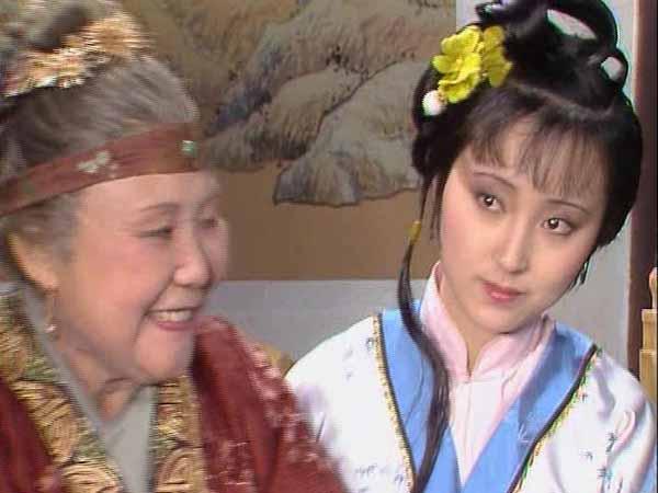 高效運營助手（管家婆期中管家助力高效運營）