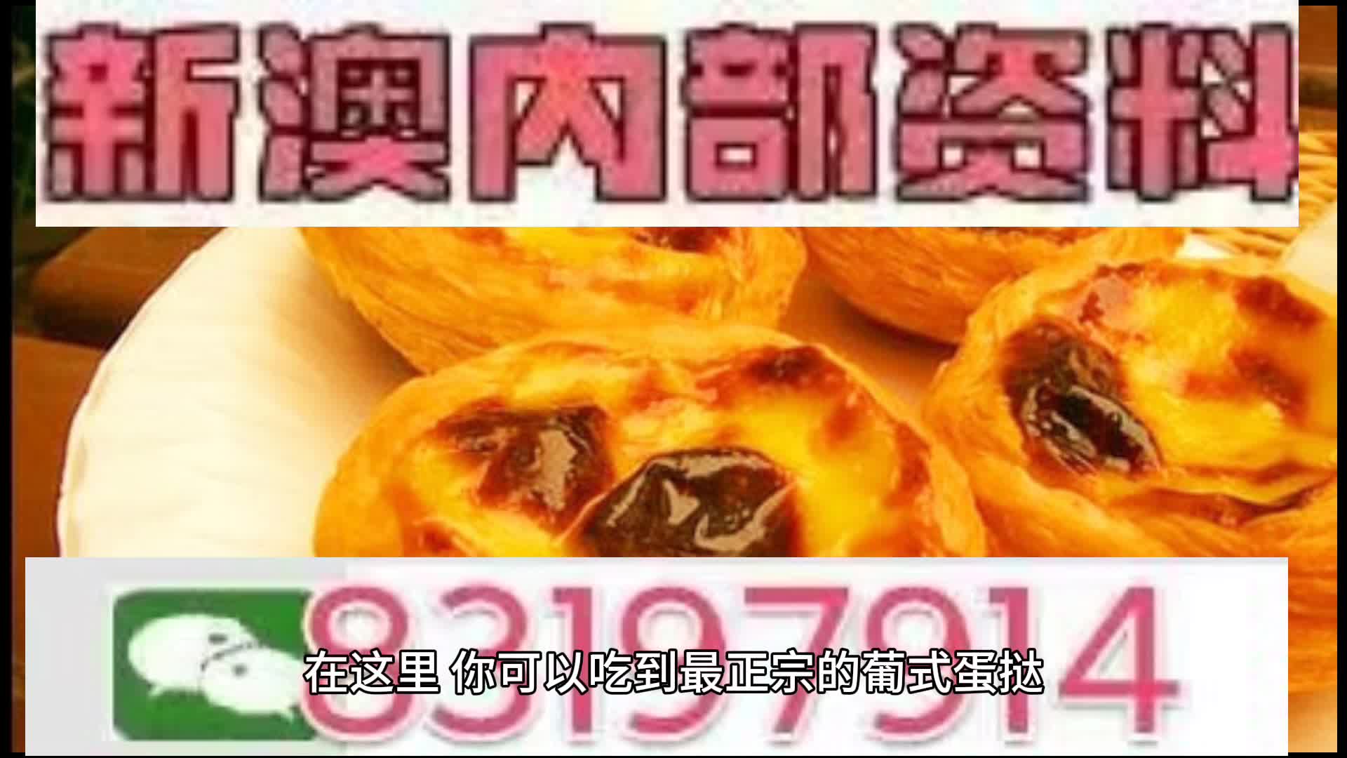 探索未來的澳門，透過新澳門中特網(wǎng)看世界，透過新澳門中特網(wǎng)探索未來澳門的世界風(fēng)采