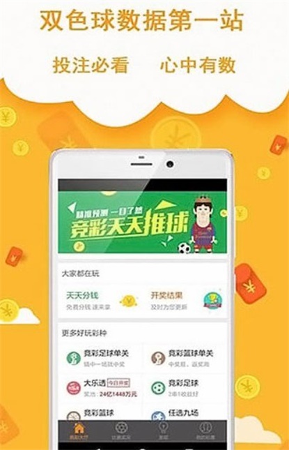 王中王493333中特網，探索與解析，王中王493333中特網，深度探索與解析