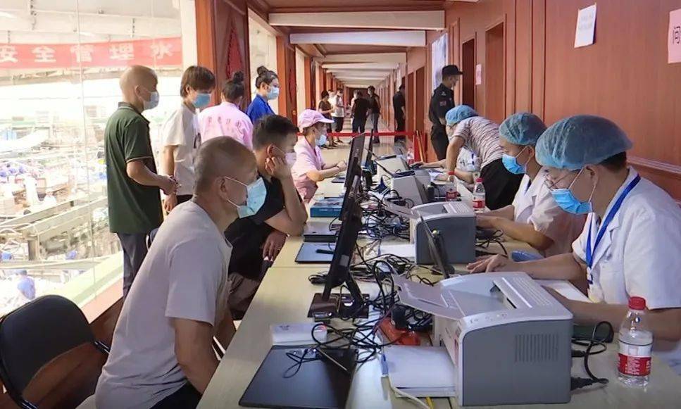 新門內部資料大全免費查看，探索與啟示，新門內部資料大全，免費探索與啟示之旅