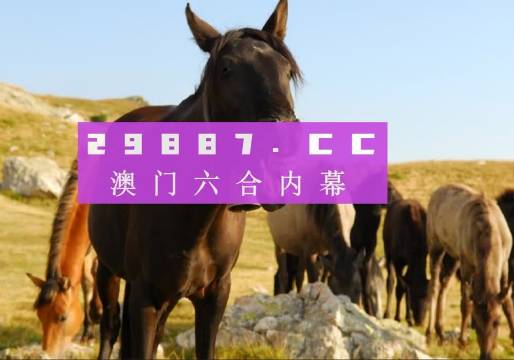 新澳門管家婆一特一中，探索現代博彩管理的典范，現代博彩管理典范，澳門管家婆一特一中探索之路