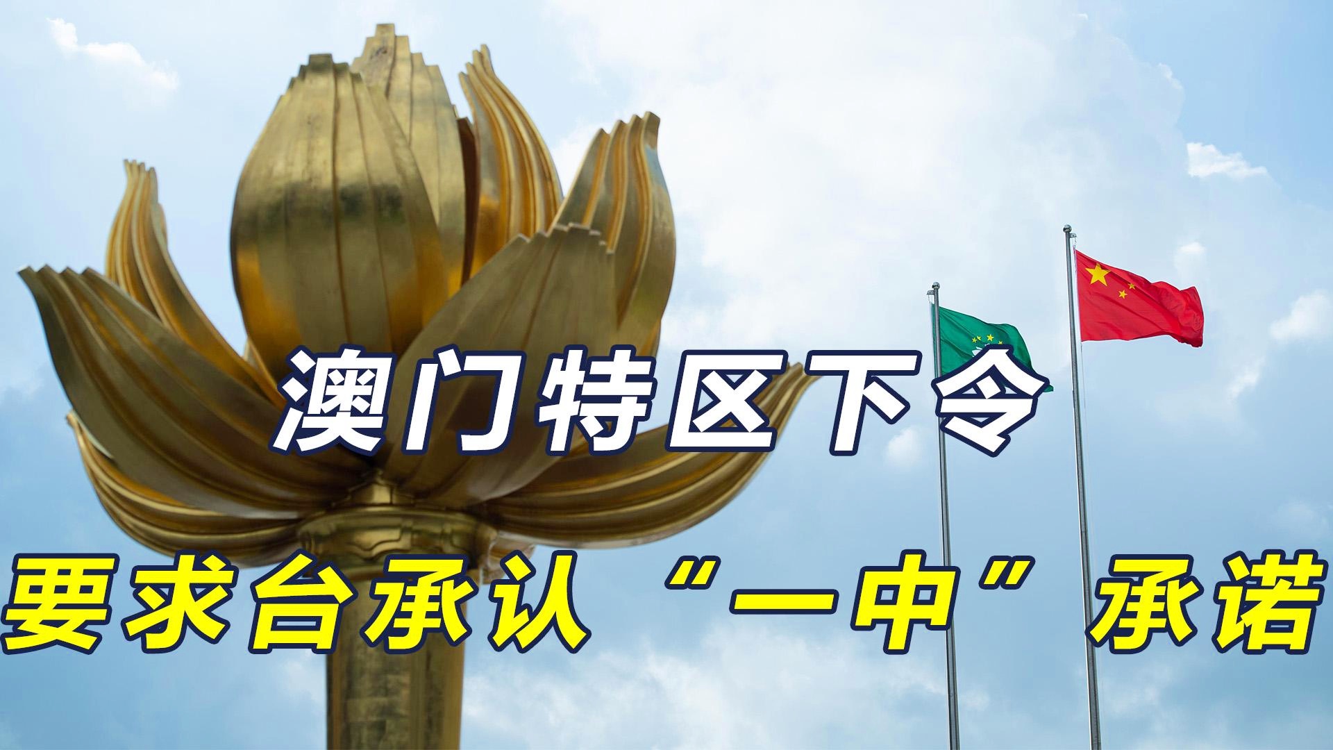 澳門一碼一肖一特一中管家，揭秘神秘面紗下的真相，澳門神秘管家揭秘，一碼一肖一特一中背后的真相