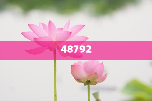 新奧彩免費提供，探索未來彩票的新機遇與挑戰(zhàn)，新奧彩免費提供，未來彩票的新機遇與挑戰(zhàn)探索