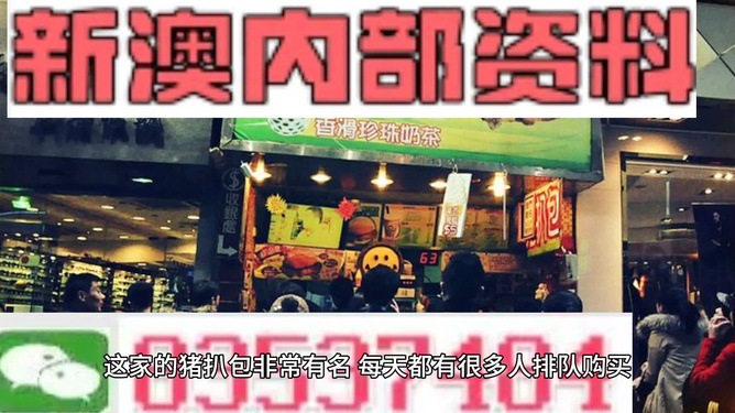 2025新澳精準資料大全概覽，2025新澳精準資料大全概覽，全面解讀最新信息
