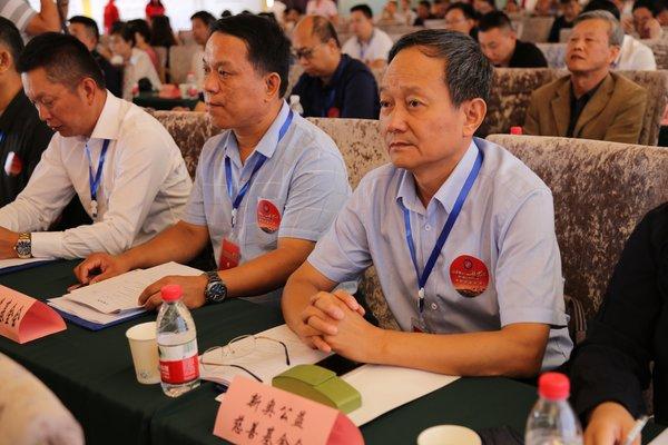 新奧精準選，免費提供的價值與創新，新奧精準選，免費提供的價值與創新驅動發展