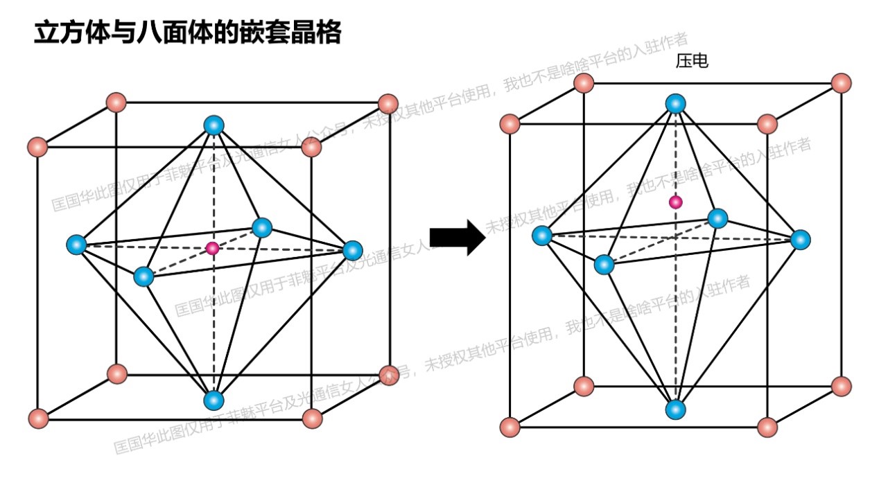 新澳門管家婆一特一中深度解析：統(tǒng)計學(xué)原理、風(fēng)險防范與實操策略